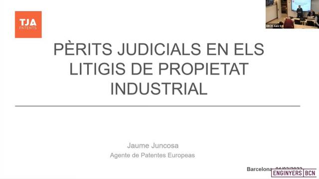 Pèrit Judicial en els litigis de propietat industrial